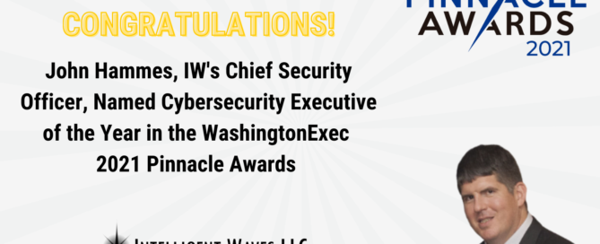 Cybersecurity Executive of the Year - 2021 Pinnacle Awards