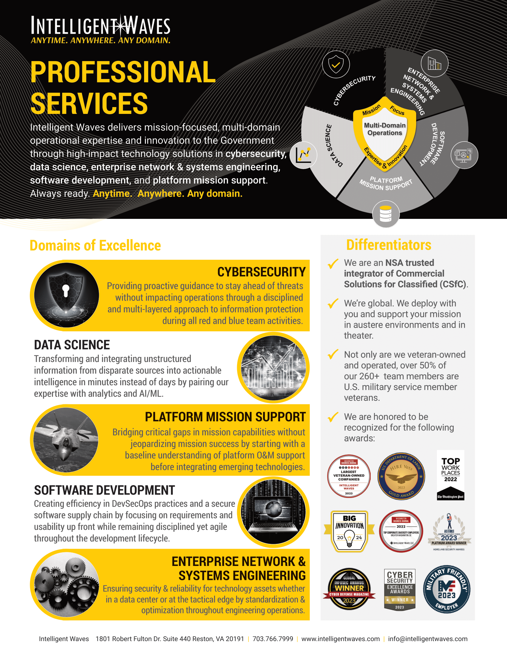 IW Capabilities Statement - Professional Services Slick Front Page Image